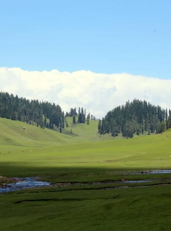 Bangus Valley Picture by SlothBear Holidays