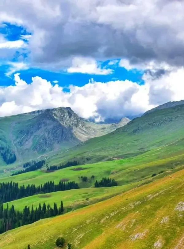 Gurez Valley Picture by SlothBear Holidays