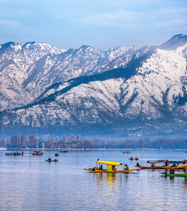 Kashmir Picture by SlothBear Holidays