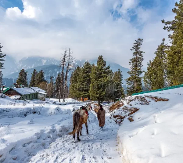 Pahalgam Picture by SlothBear Holidays
