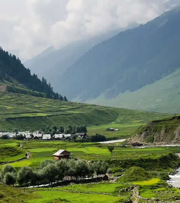 Tulail Valley Picture by SlothBear Holidays